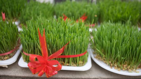 نمادهای سفره هفت سین چه مفهومی دارند؟