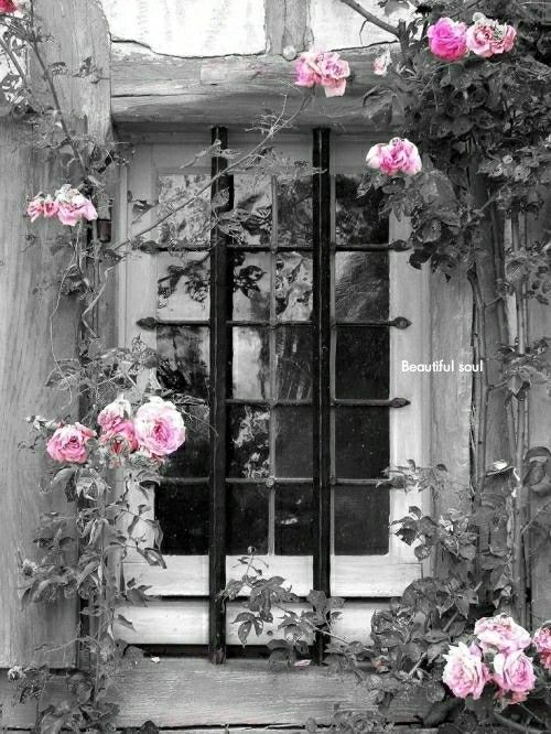 گلهای بهاری