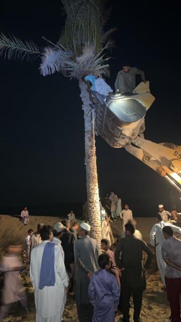 تصاویری از جایگزینی تک نخل ساحل دَرَک