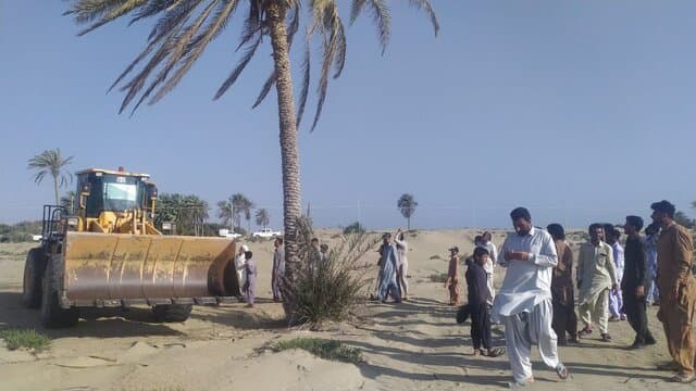 تصاویری از جایگزینی تک نخل ساحل دَرَک