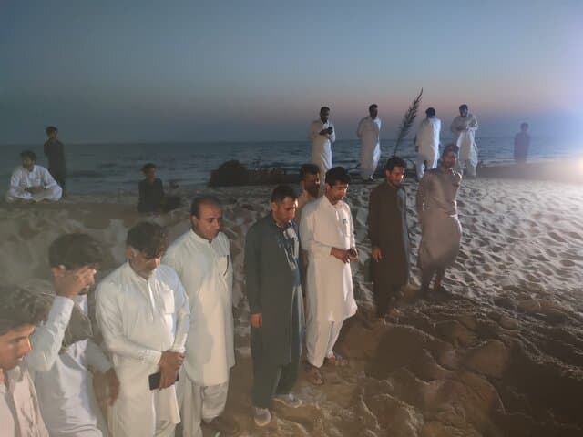 تصاویری از جایگزینی تک نخل ساحل دَرَک