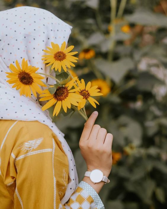 افتابگردان 