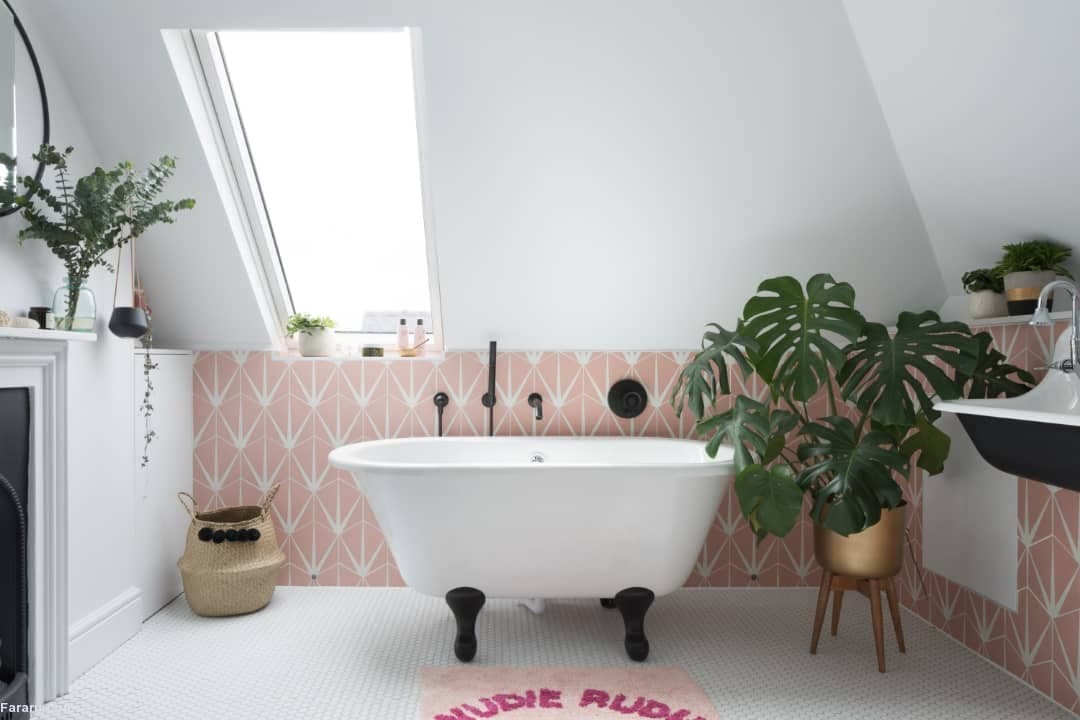 گیاه برگ انجیری