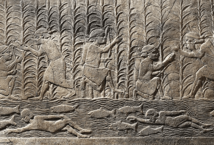 مهندسی هیدرولیک