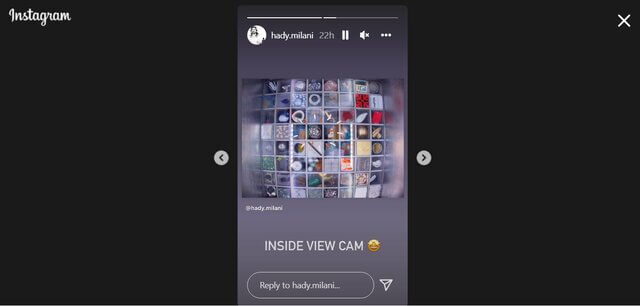اثر هنرمند ایرانی در ایستگاه فضایی بین‌المللی