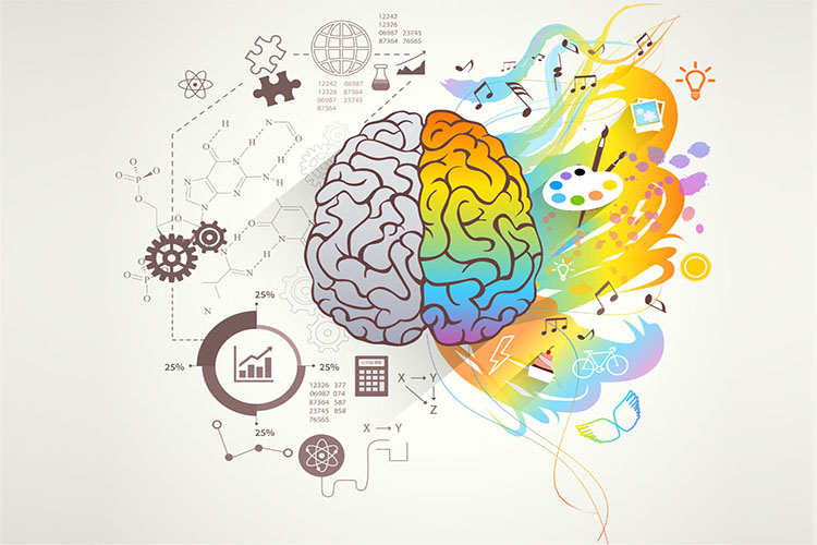 ضریب هوشی شما چند است؟/ همه چیز درباره IQ