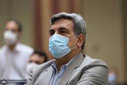 شهردار تهران، وجود خطر پرستو‌ها را تائید کرد
