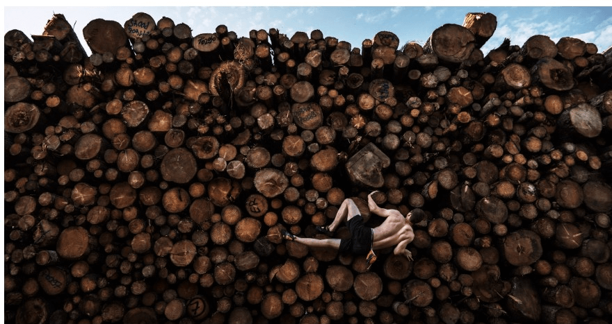 عکس‌های دیدنی برنده ووردپرس ۲۰۲۱