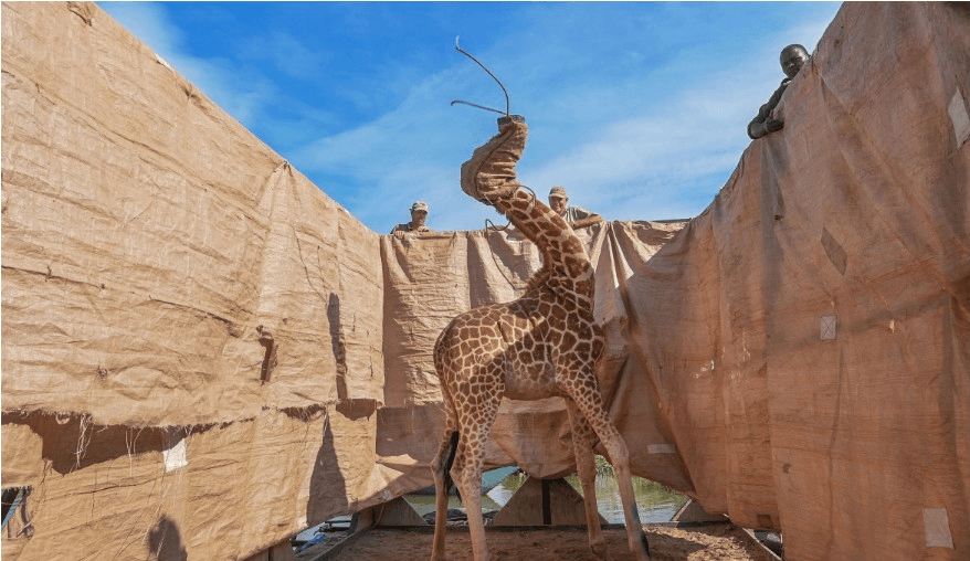 عکس‌های دیدنی برنده ووردپرس ۲۰۲۱