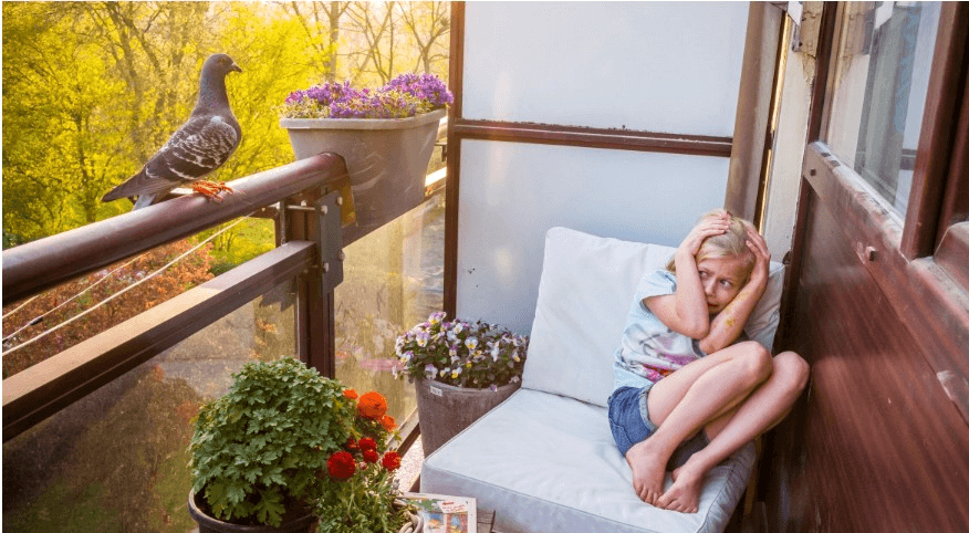 عکس‌های دیدنی برنده ووردپرس ۲۰۲۱