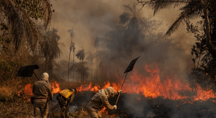 عکس‌های دیدنی برنده ووردپرس ۲۰۲۱