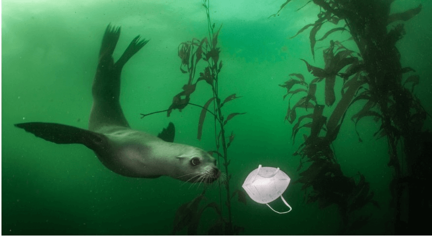 عکس‌های دیدنی برنده ووردپرس ۲۰۲۱