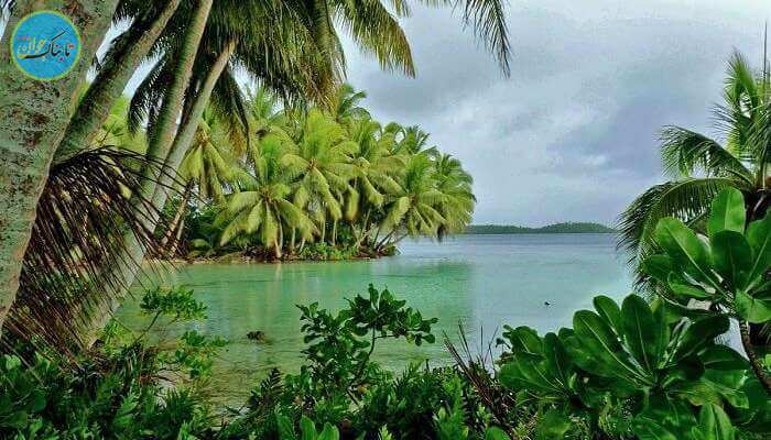 جزیره پالمیرا، اقیانوس آرام شمالی