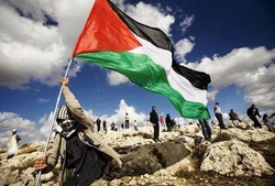 شجاعت دختر فلسطینی در مقابل سربازان اسرائیلی + فیلم