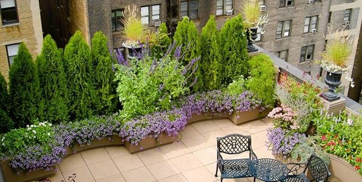 باغچه آپارتمانی