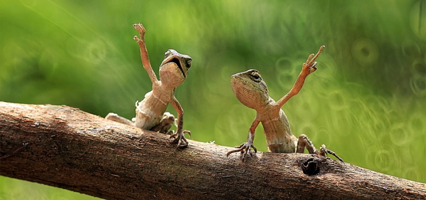 روزهای عجیب و غریب تقویم جهانی را بشناسید!