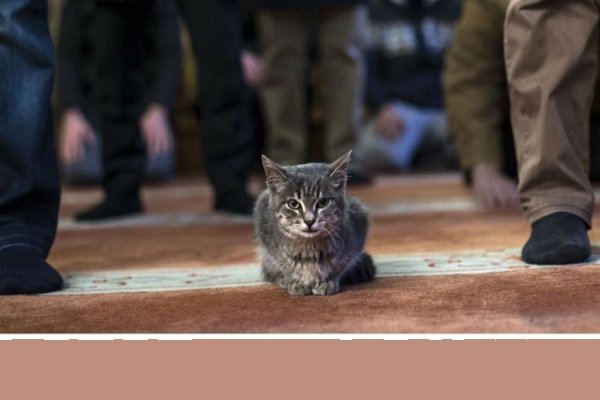 روزهای عجیب و غریب تقویم جهانی را بشناسید!