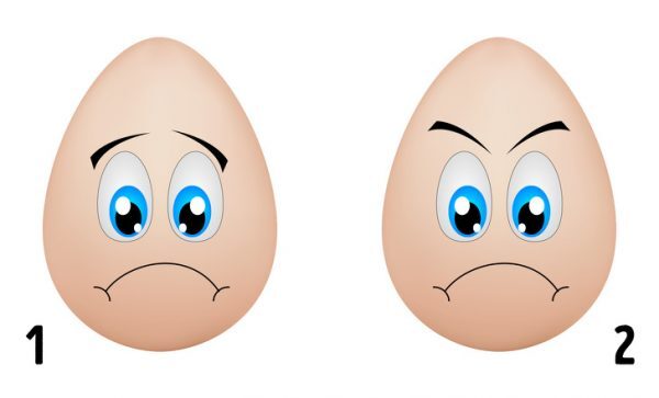 تست شخصیت شناسی تصویری با جواب