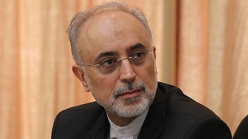 جزئیات نامه صالحی به مدیرکل آژانس اتمی صالحی