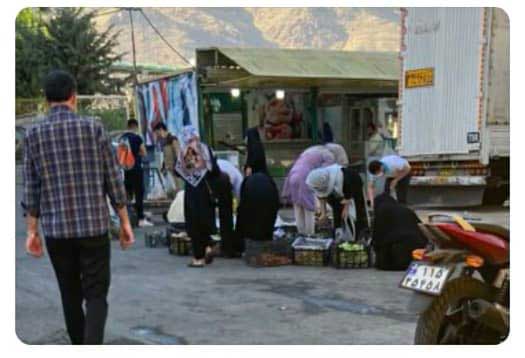 تره بار قیطریه