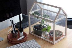 ۱۲ ایده ساده برای داشتن گلخانه کوچک خانگی