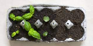 ۱۲ ایده ساده برای داشتن گلخانه آپارتمانی