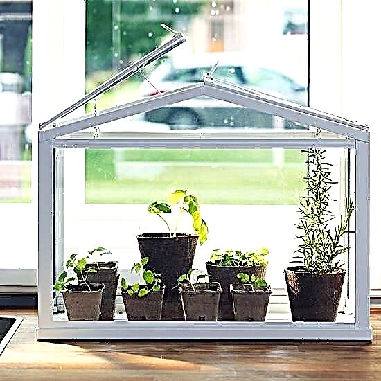 ۱۲ ایده ساده برای داشتن گلخانه آپارتمانی