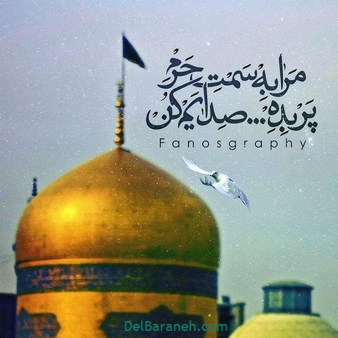 متن و استوری تبریک ویژه ولادت امام رضا (ع) ۱۴۰۰