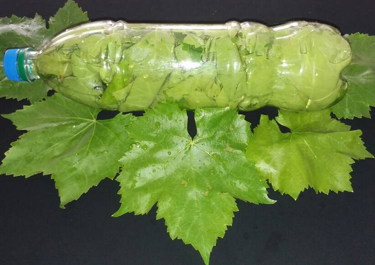 بطری برگ مو