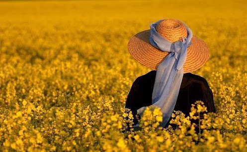 دشتی از نور 