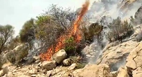 آتش سوزی جنگلهای نارک
