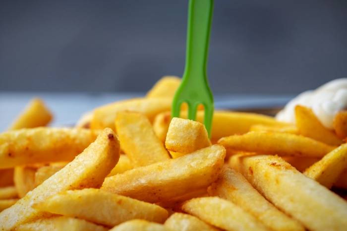 سیب زمینی سرخ کرده 