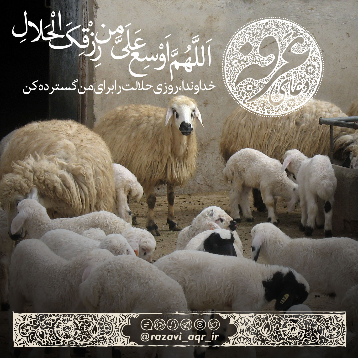 مجموعه از عکس نوشته های دعای عرفه مخصوص استوری و پروفایل