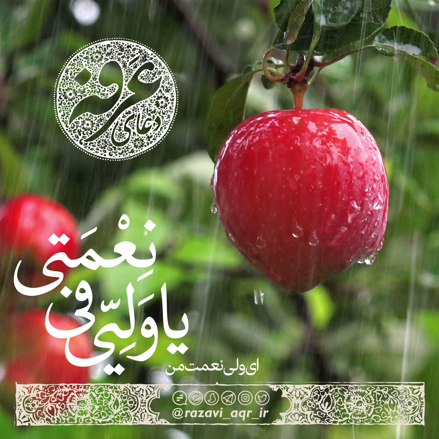 مجموعه از عکس نوشته های دعای عرفه مخصوص استوری و پروفایل