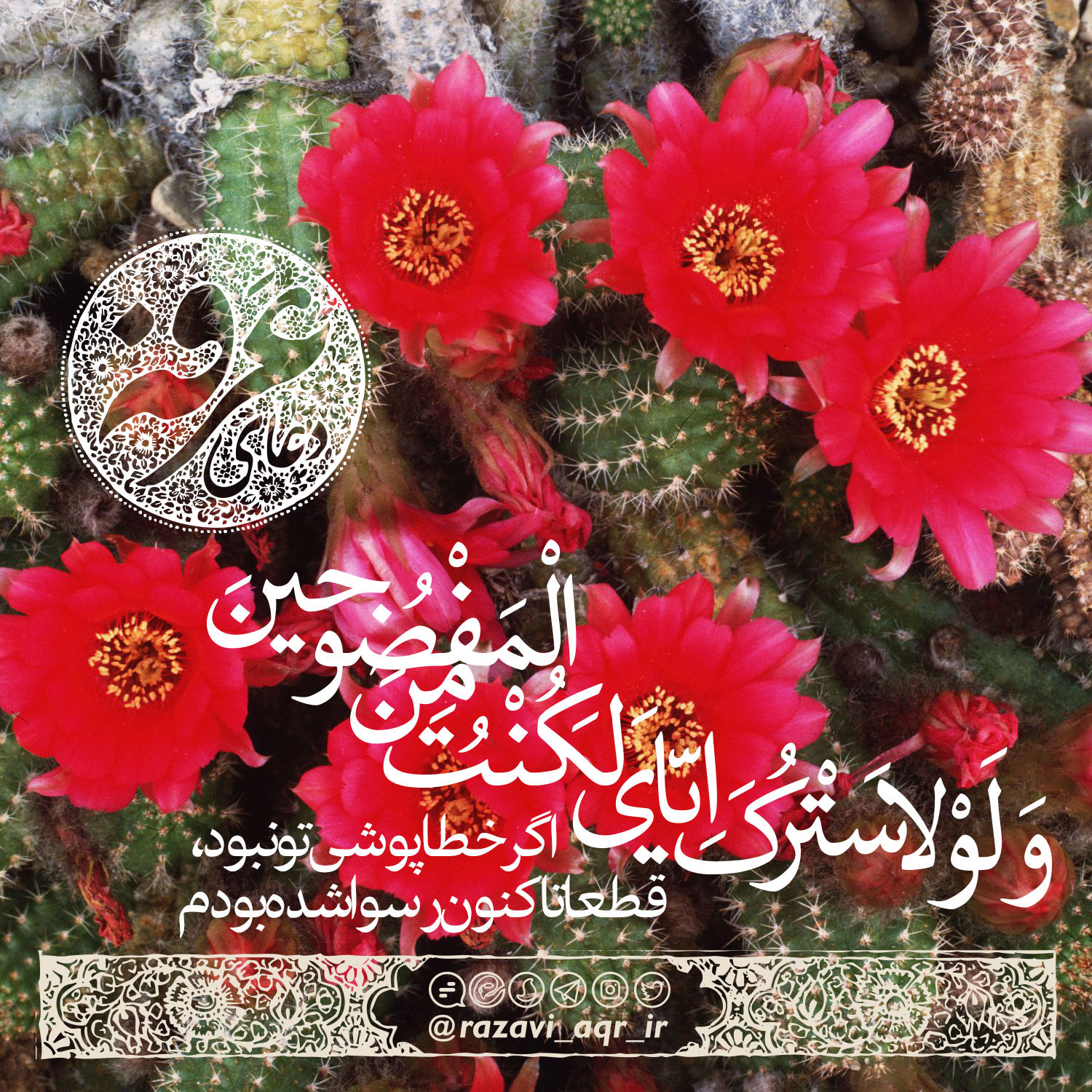 مجموعه از عکس نوشته های دعای عرفه مخصوص استوری و پروفایل