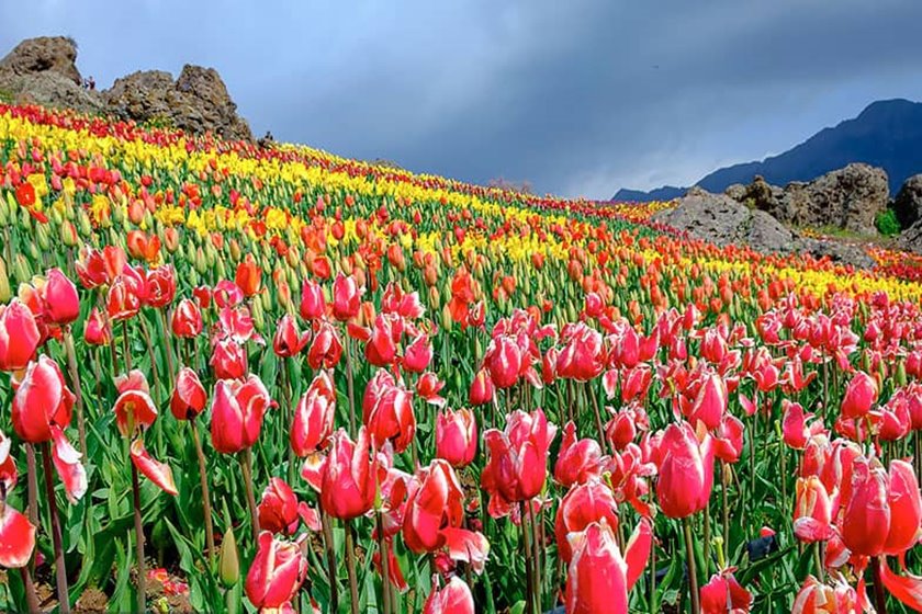 روستای کندر