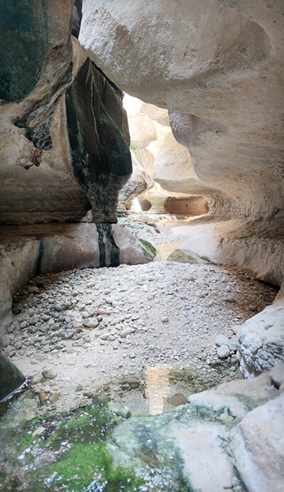 شوتاریکو در هرمزگان