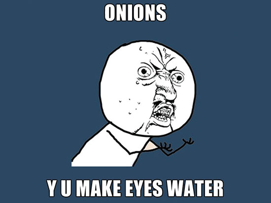 مروری بر میم های پرطرفدار فضای مجازی