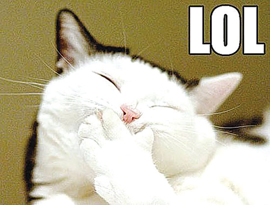 مروری بر میم های پرطرفدار فضای مجازی