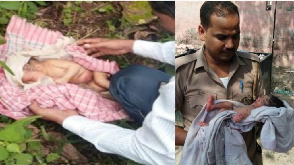 نوزاد در بوته ها