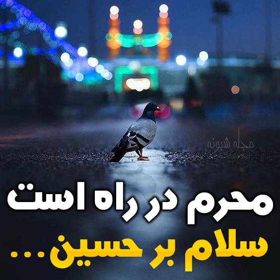 استوری و پروفایل ویژه پیشواز محرم ۱۴۰۰