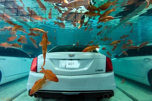 خودرو در آب