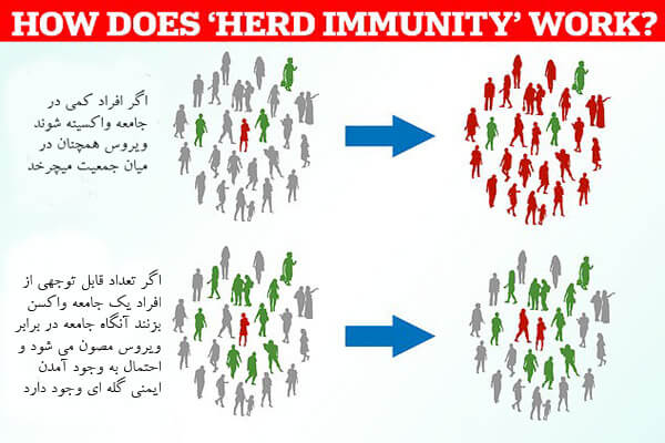 وضعیت جوامع در ۲ صورت واکسینه شدن و یا نشدن