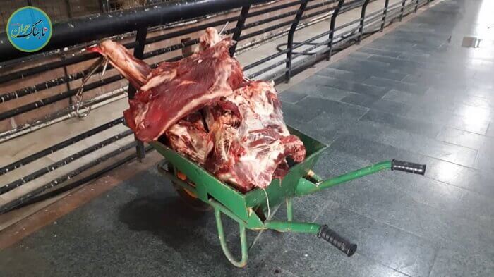 غذای شیر ایرانی