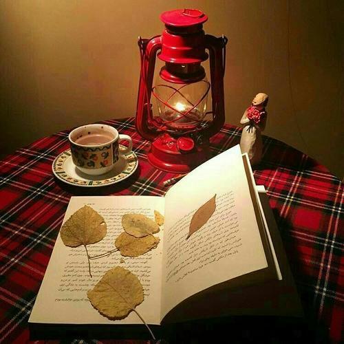 فال قهوه 