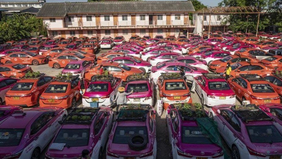 باغچه تاکسی 