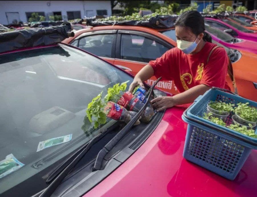 باغچه تاکسی 