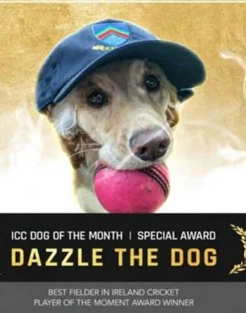 سگ کریکت باز 