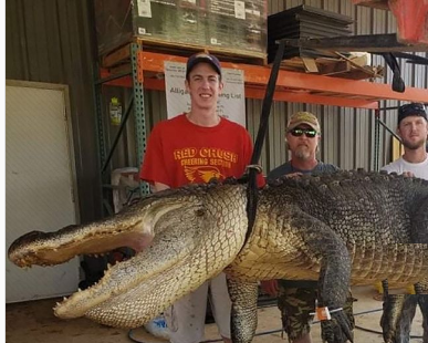 تمساح عصر حجر