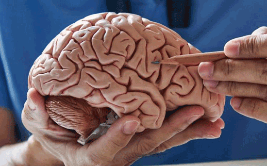 دانستنی ها درباره ۷ عملکرد عجیب بدن